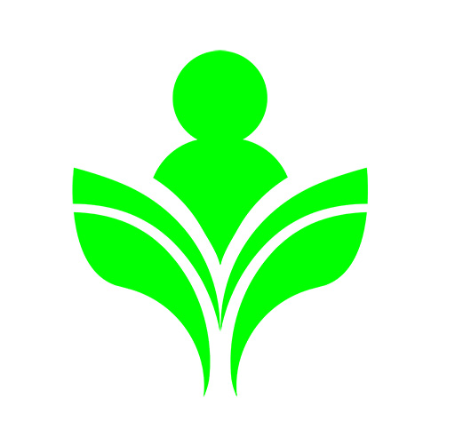 Perennial Garden Planning: Plants That Come Back Year After Year