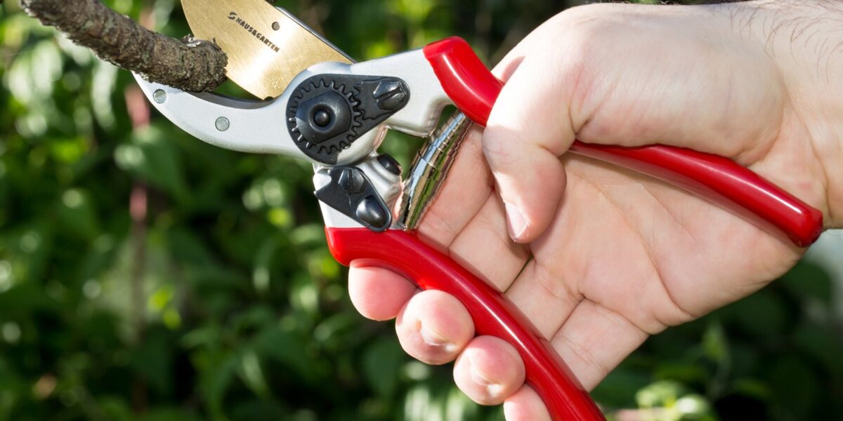 pruning shears garden