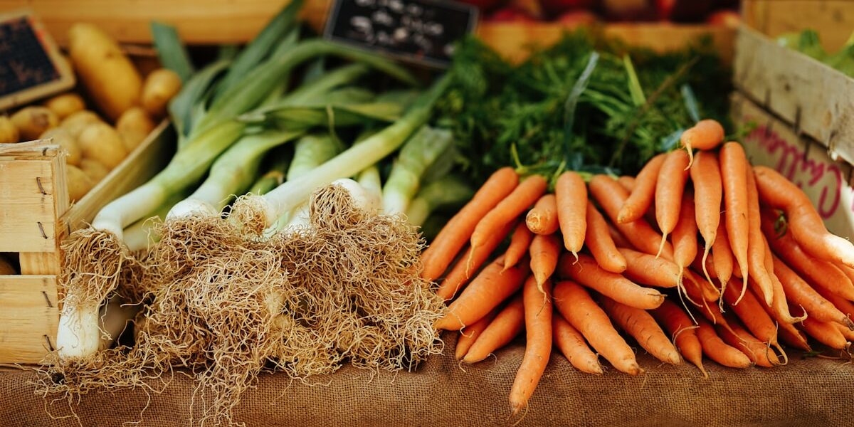 Plant Care Hub: Growing Guides for Vegetables, Herbs, and Flowers