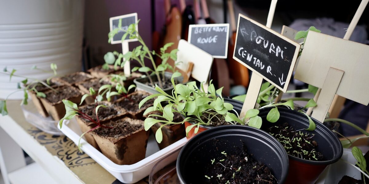 5 Things to Do Now for a Better Spring Garden