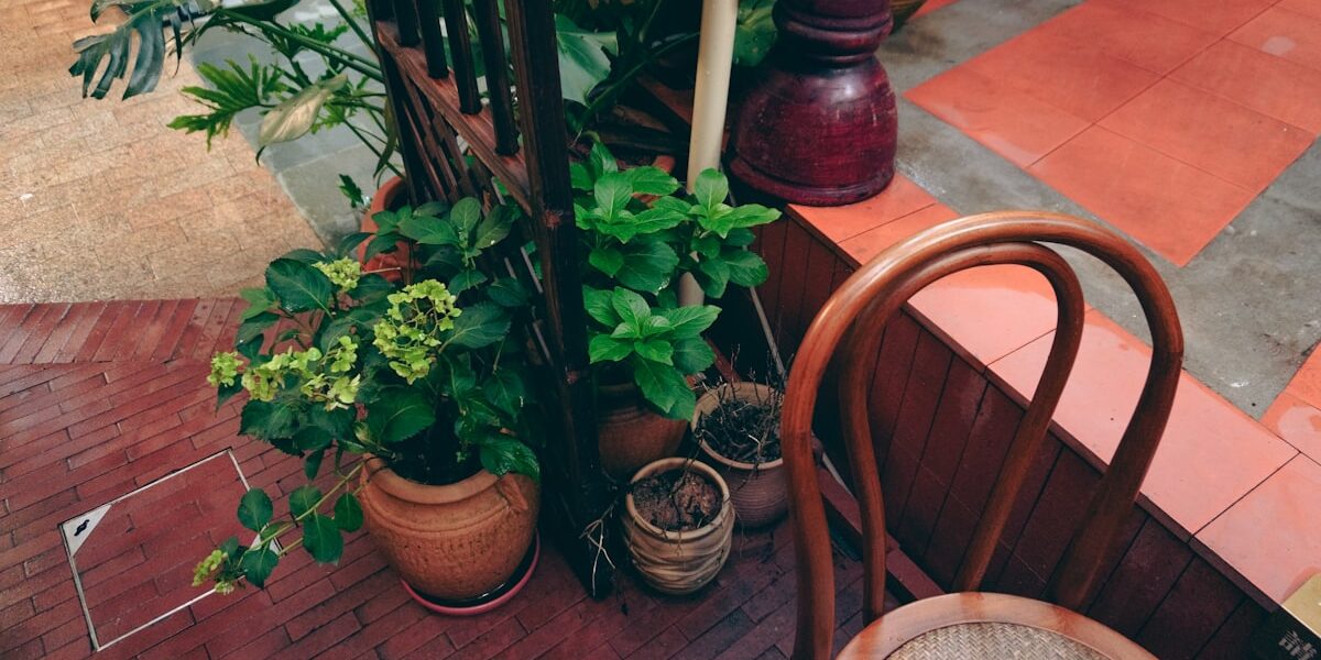 Xeriscaping 101: Beautiful Gardens That Barely Need Water