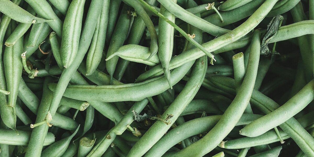 Plant It and They Will Come: Creating a Pollinator Paradise