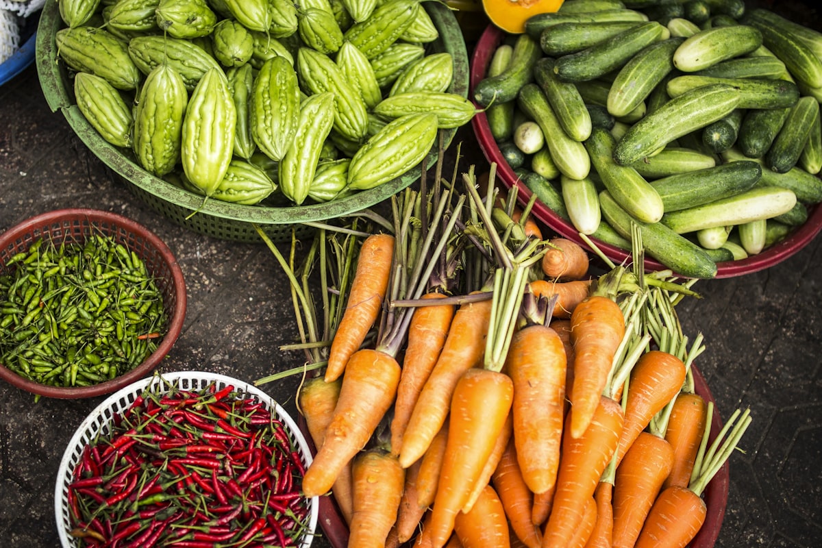 Rows of vegetables in a garden