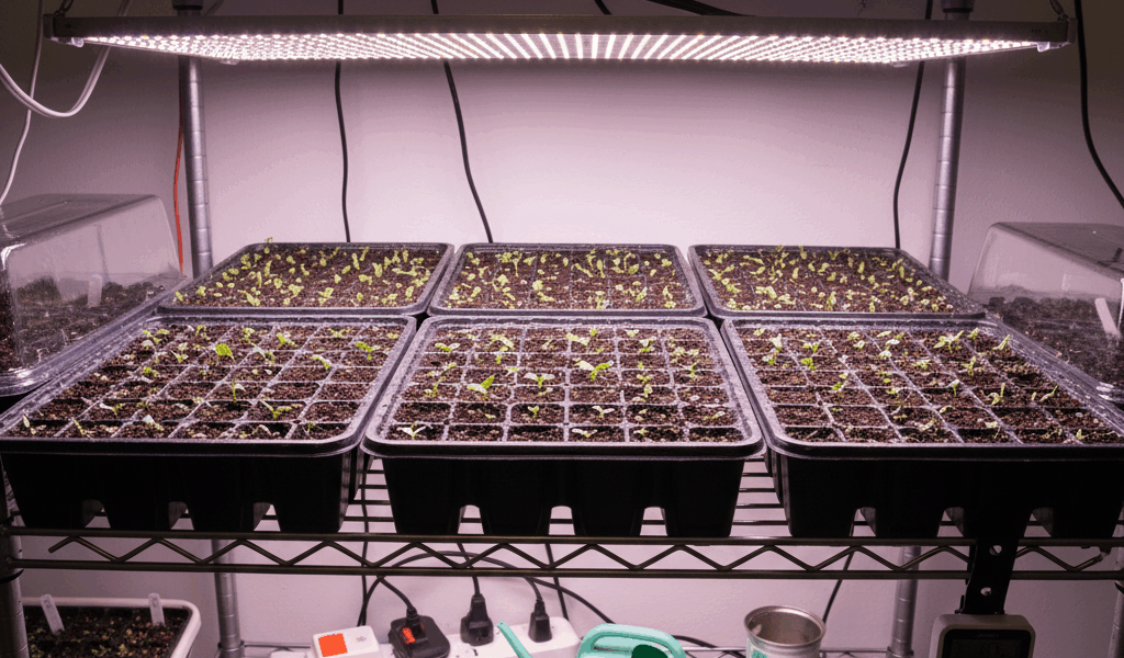 img 8bd8512f 20260224 065843