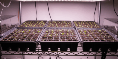 img 8bd8512f 20260224 065843